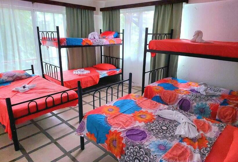 Pura Vida Hostel Manuel Antonio