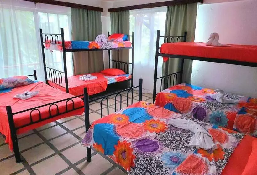 Pura Vida Hostel Manuel Antonio