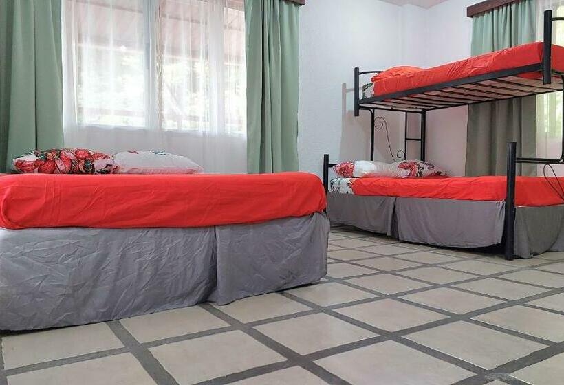 Pura Vida Hostel Manuel Antonio