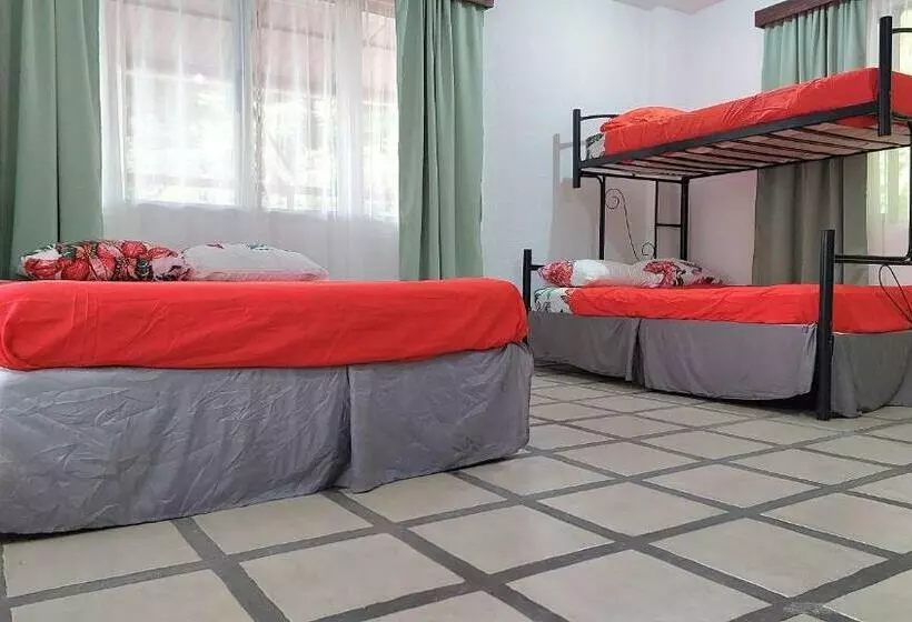 Pura Vida Hostel Manuel Antonio
