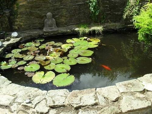 مبيت وإفطار Ferndale House