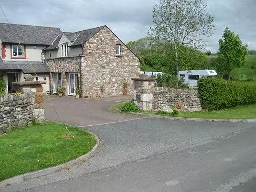 Bed and Breakfast Rebels Hide