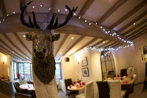 مبيت وإفطار The Live And Let Live