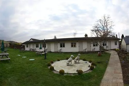 مبيت وإفطار The Live And Let Live