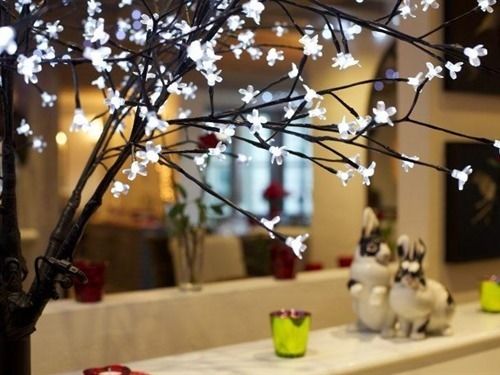 مبيت وإفطار The Live And Let Live