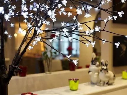 مبيت وإفطار The Live And Let Live