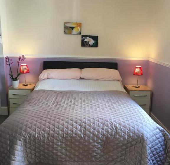 호텔 Adelphi Guest House