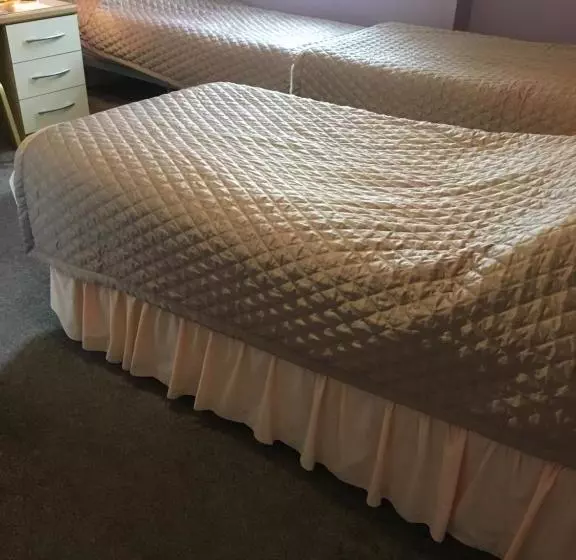 فندق Adelphi Guest House