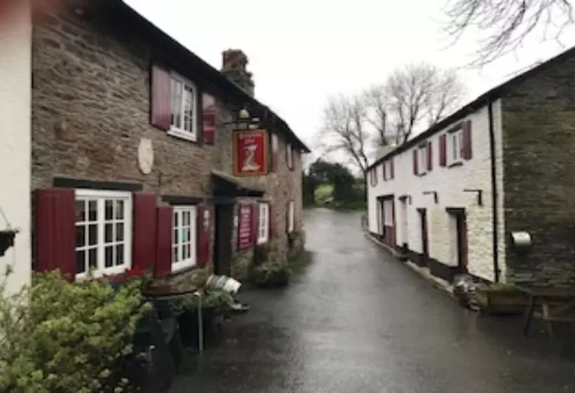 酒店 The Dolphin Inn