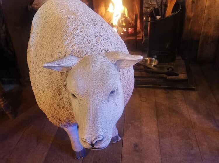 בית מלון כפרי The Dolphin Inn