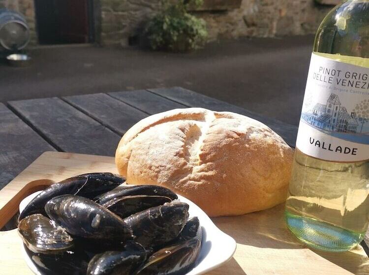 בית מלון כפרי The Dolphin Inn