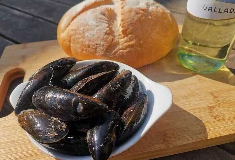 בית מלון כפרי The Dolphin Inn