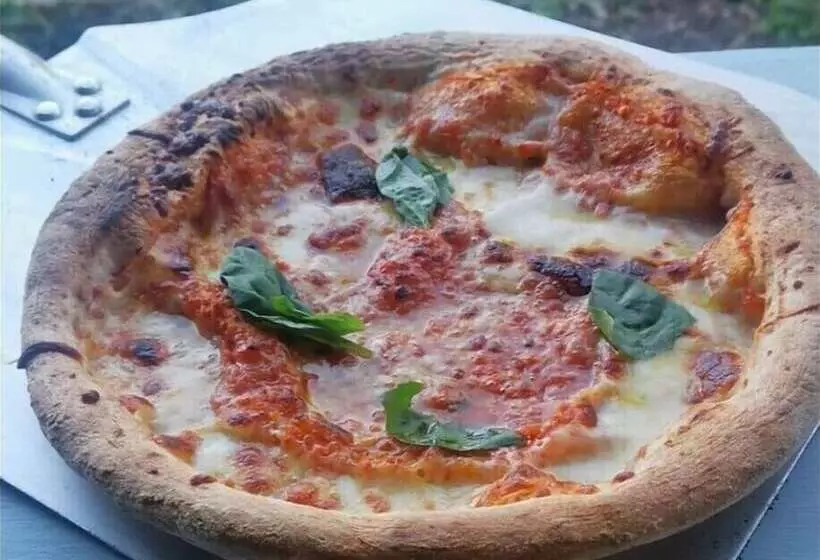 酒店 The Dolphin Inn