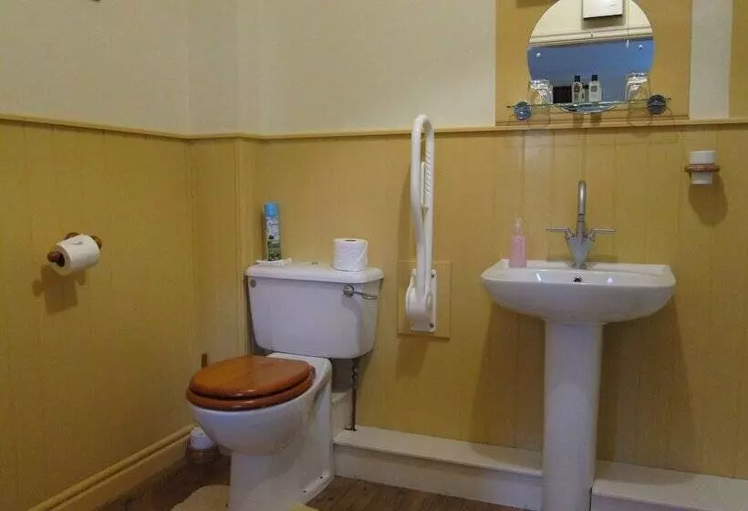 펜션 Black Swan Guest House