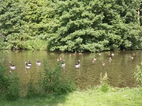 Пансион Penybryn House