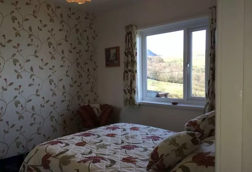 Panzió Rhiwiau Isaf