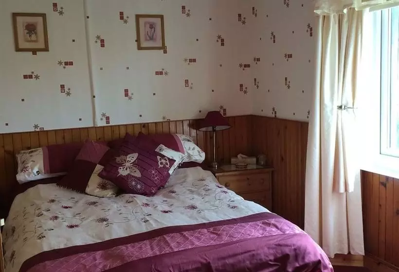 Panzió Rhiwiau Isaf