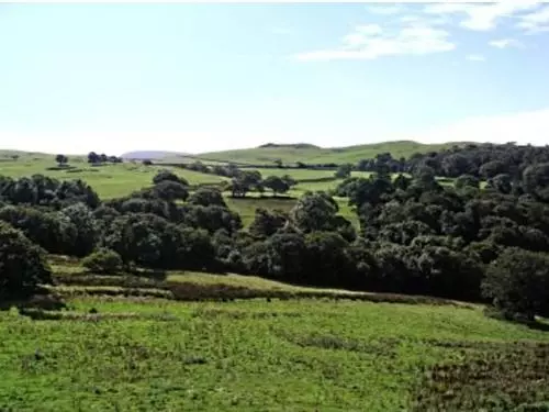 Panzió Rhiwiau Isaf