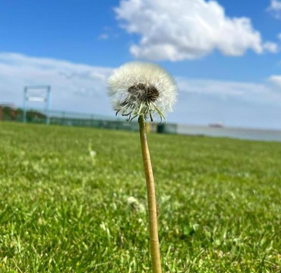 Пансион The Goodlife Guesthouse