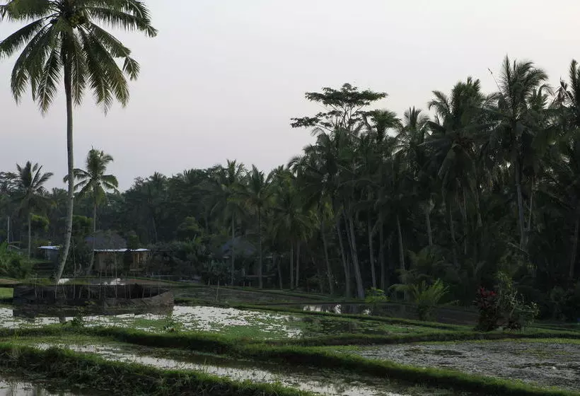 리조트 Ubud Syailendra Villas