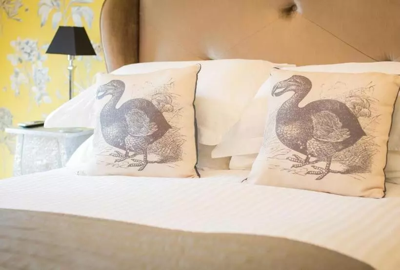 Studios At Glenthorne