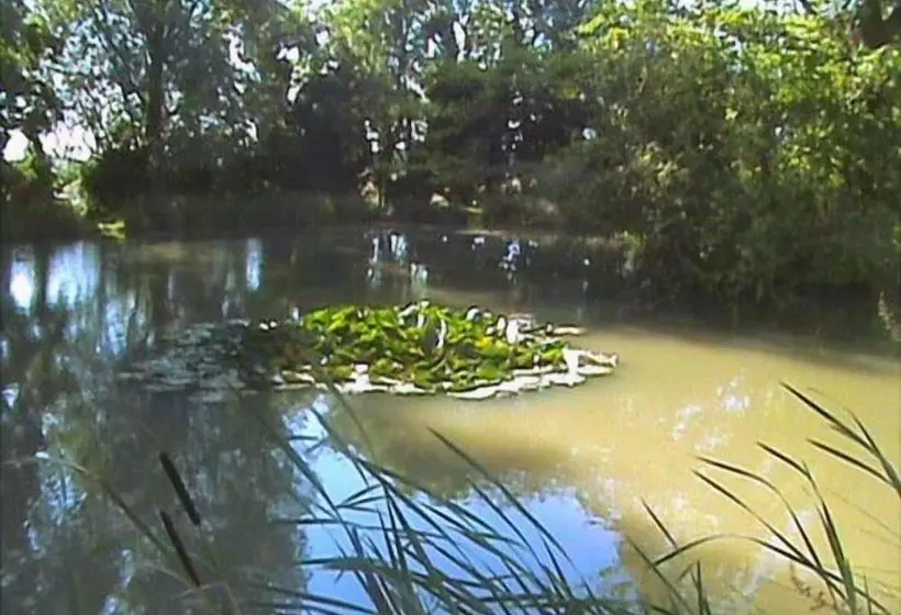 تختخواب و صبحانه Blatches Farm