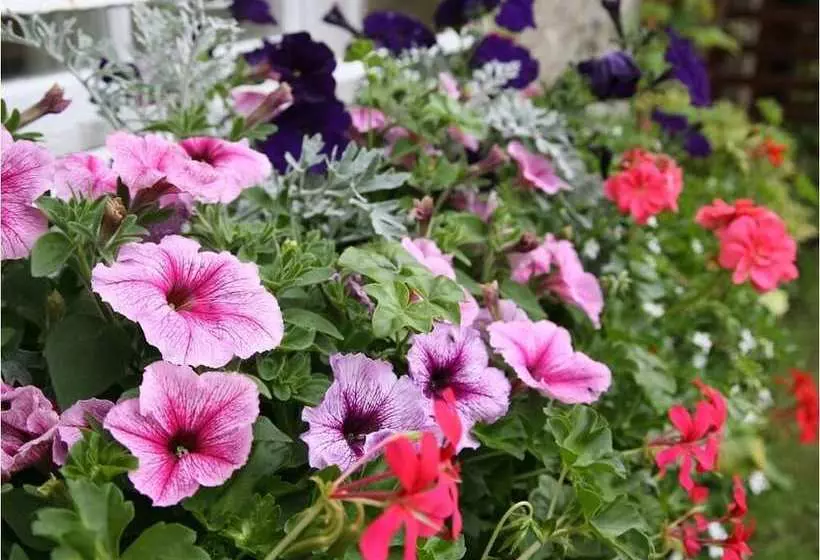 Hallbarns Farmhouse Bed & Breakfast