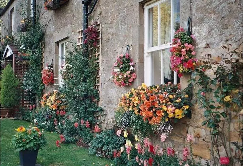 Hallbarns Farmhouse Bed & Breakfast