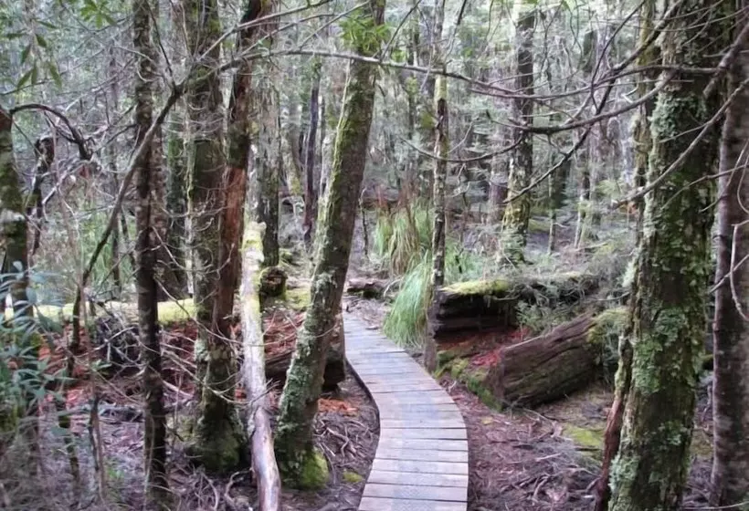 ホテル Derwent Bridge Chalets & Studios