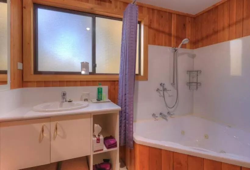 ホテル Derwent Bridge Chalets & Studios