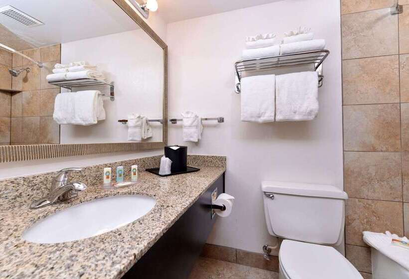 酒店 Quality Inn Vernal Near Dinosaur National Monument