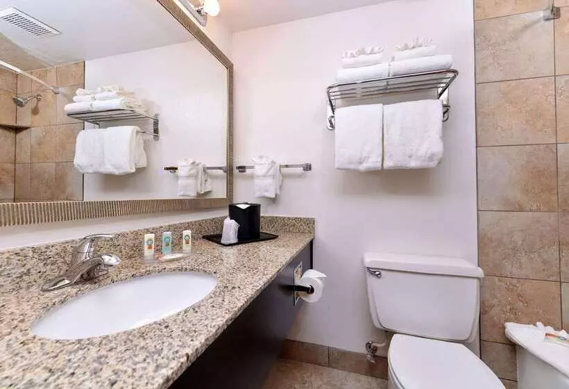 酒店 Quality Inn Vernal Near Dinosaur National Monument