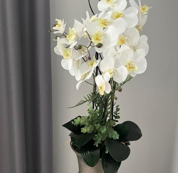 בית מלון כפרי Santa Eulalia