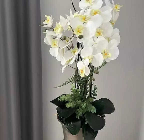 酒店 Santa Eulalia