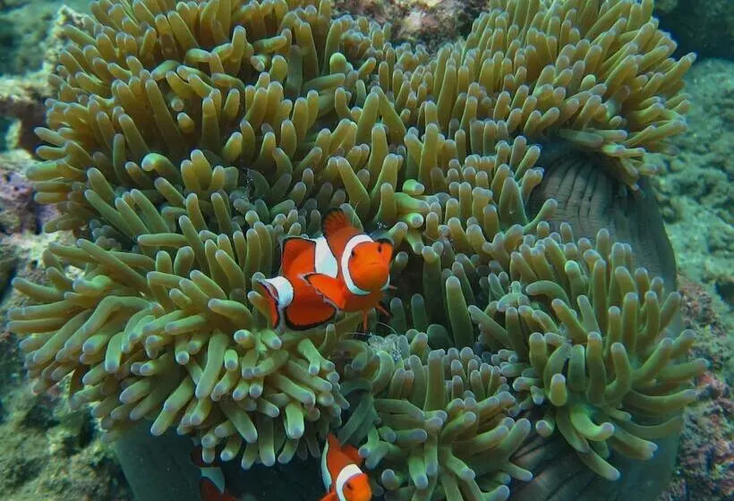 فندق Ten Moons Lipe Resort