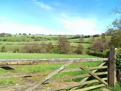 Отель The Ryles Arms