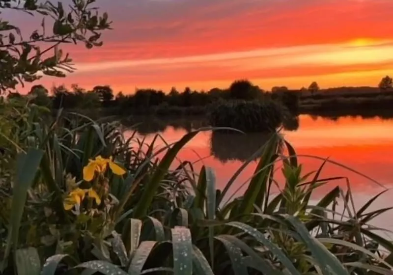 New Farm Cheshire B&b