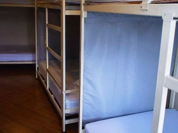 هاستل Vx The Fifty