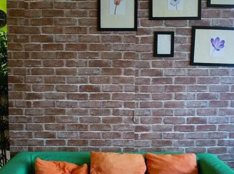 هاستل Vx The Fifty