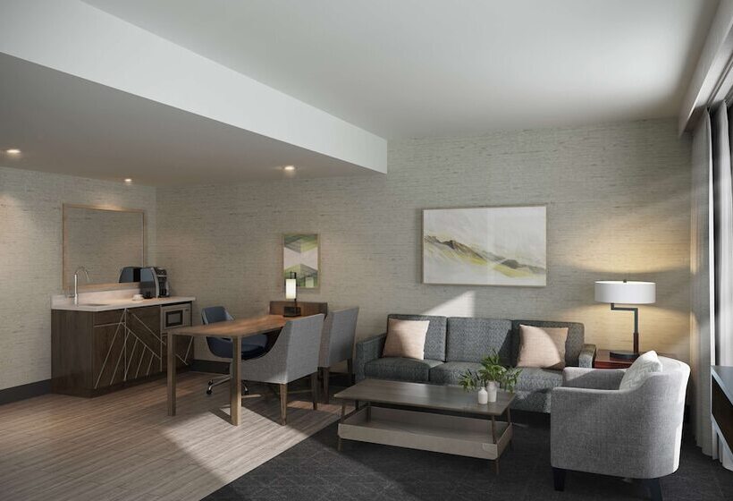 Отель Embassy Suites By Hilton Asheville Downtown