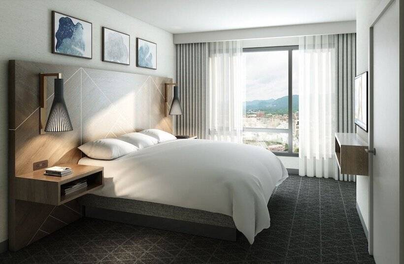 Отель Embassy Suites By Hilton Asheville Downtown