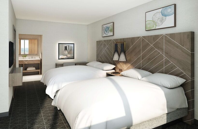 Отель Embassy Suites By Hilton Asheville Downtown