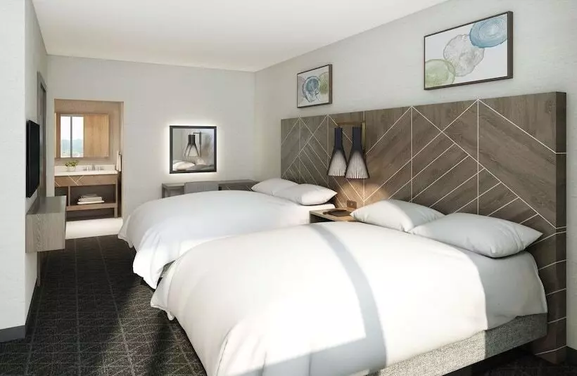 ホテル Embassy Suites By Hilton Asheville Downtown