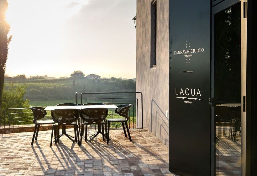 Laqua Vineyard
