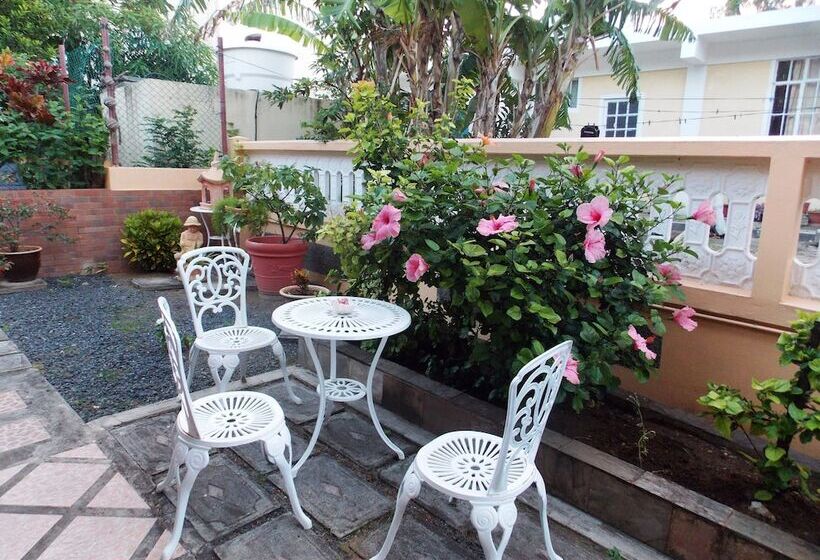 پانسیون Le Manoir Guest House