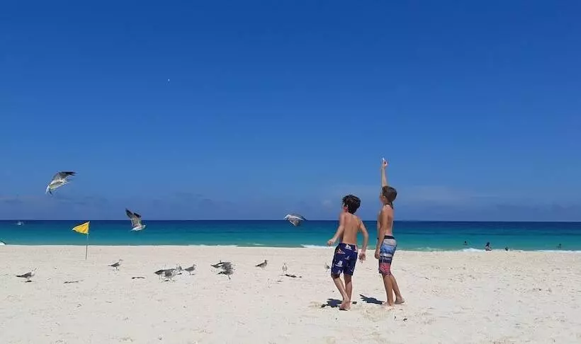 Amigo Rental