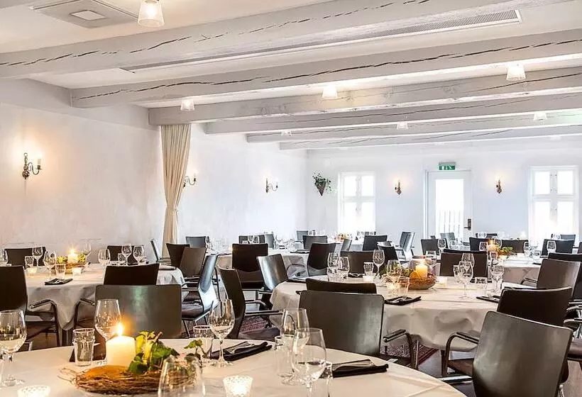 酒店 Skanörs Gästgifvaregård