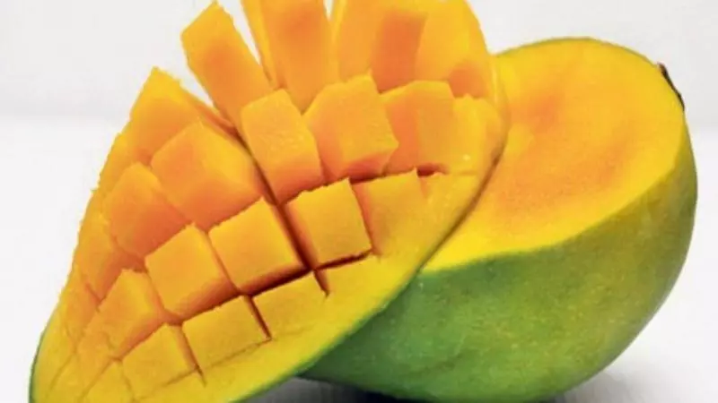 ホテル The Putra Regency