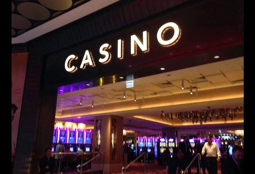 The Hive Hostel   Traveler Friendly, Passport Only