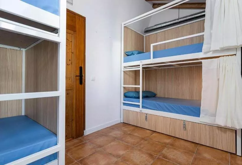 Urban Hostel Palma  Albergue Juvenil  Youth Hostel